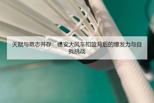 天赋与意志并存:锡安大风车扣篮背后的爆发力与自我挑战 - KYgaming